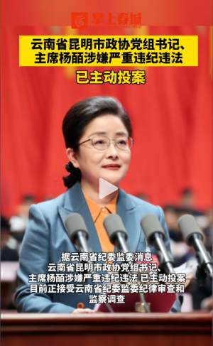 昆明市政協(xié)黨組書記、主席楊皕，主動(dòng)投案